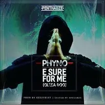 E Sure For Me image