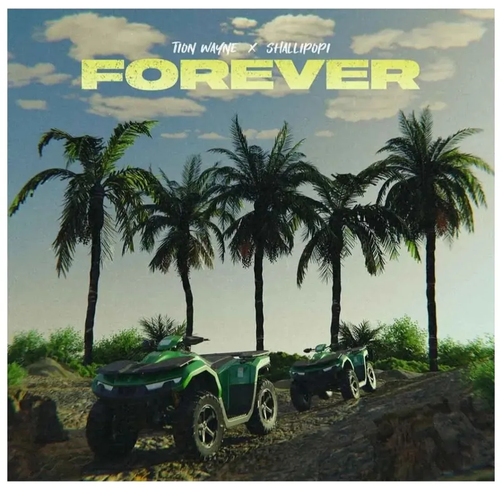 Forever by Shallipopi