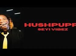 Hushpuppi by Seyi Vibez