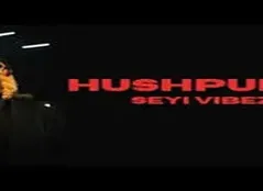 Hushpuppi by Seyi Vibez