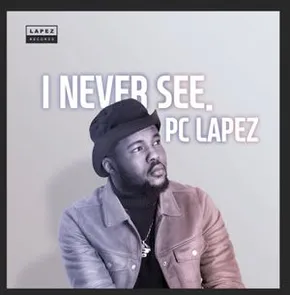 I Never See image