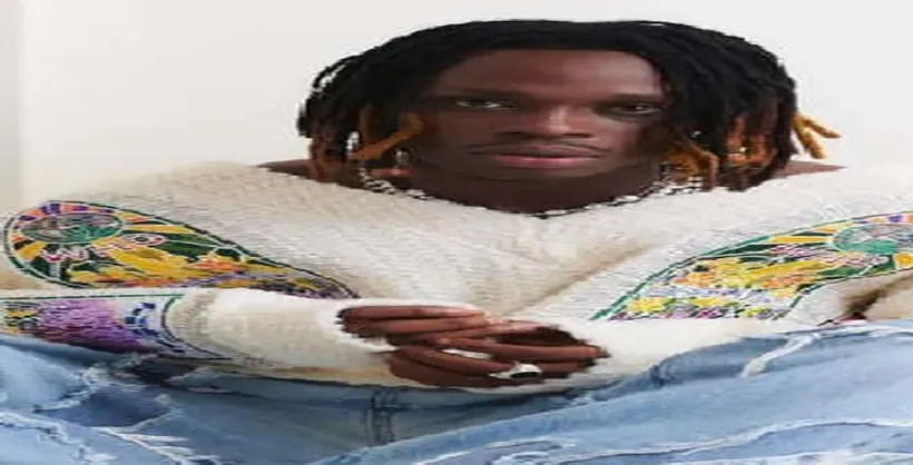 Like I Do by Fireboy DML