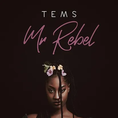 Mr Rebel by Tems