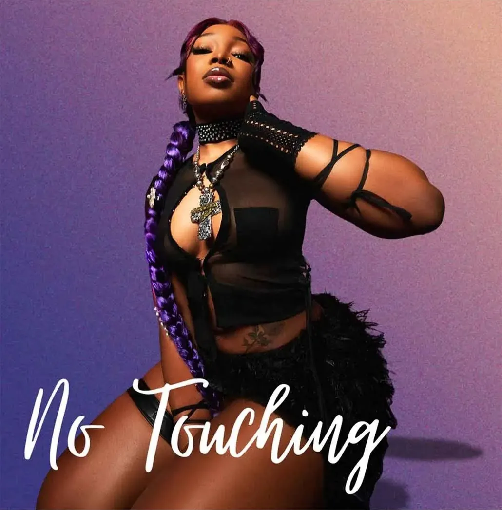 No Touching image