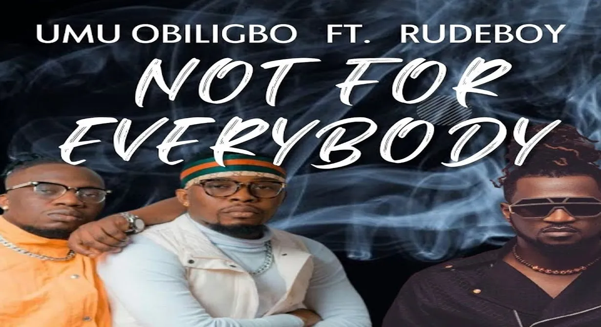 Not For Everybody by Umu Obiligbo
