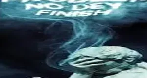 Problem No Dey Finish image