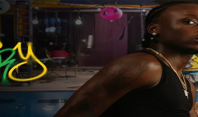 Story by Fireboy DML