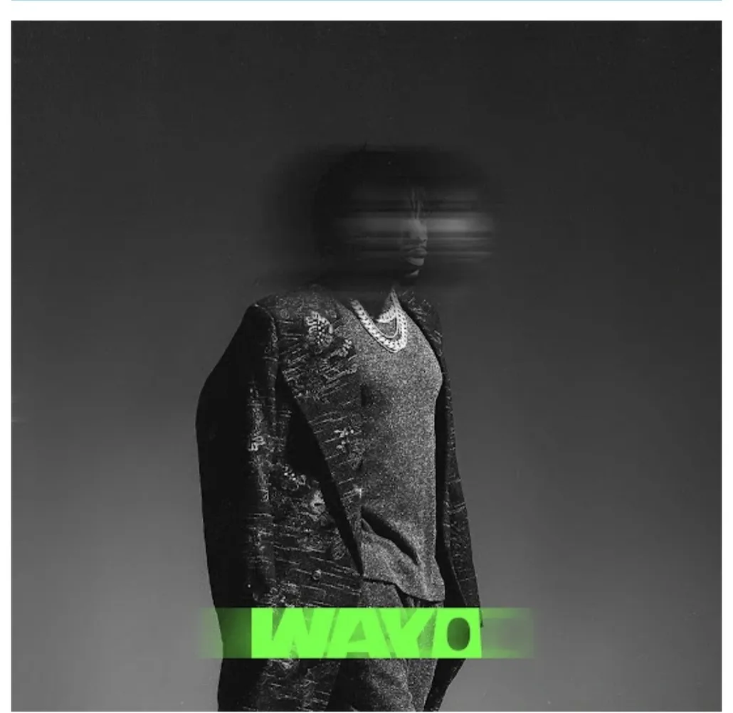 Wayo by Tekno