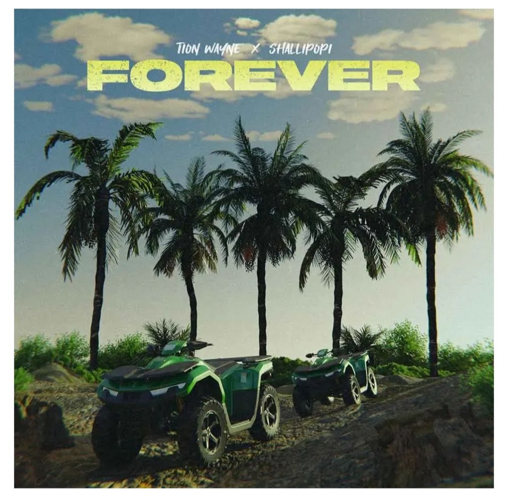 Forever by Shallipopi